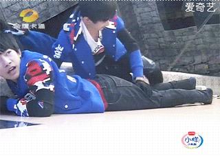 三小只最新动图,青春活力的完美诠释