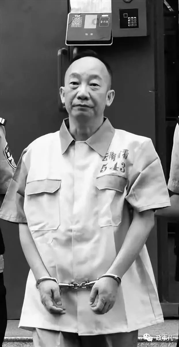 兆岗最新消息深度解析报告