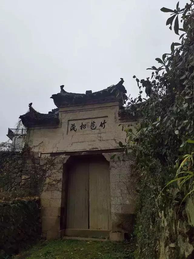 文成温州今日新动态,城市发展的华丽篇章