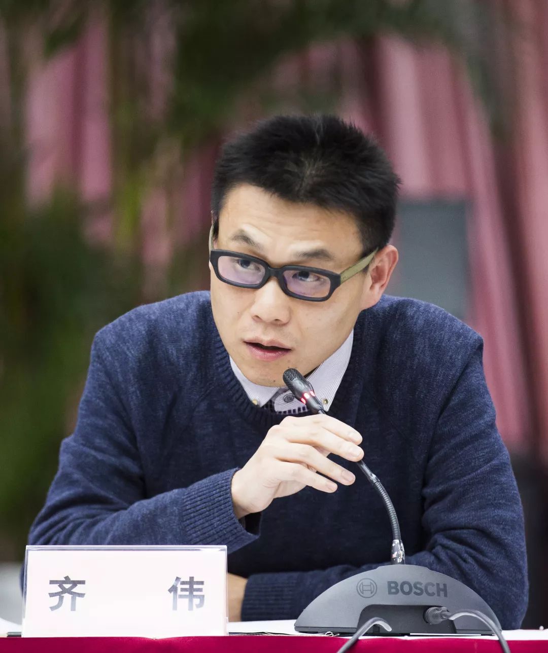 齐大伟多重身份揭秘,最新消息与辉煌成就概述