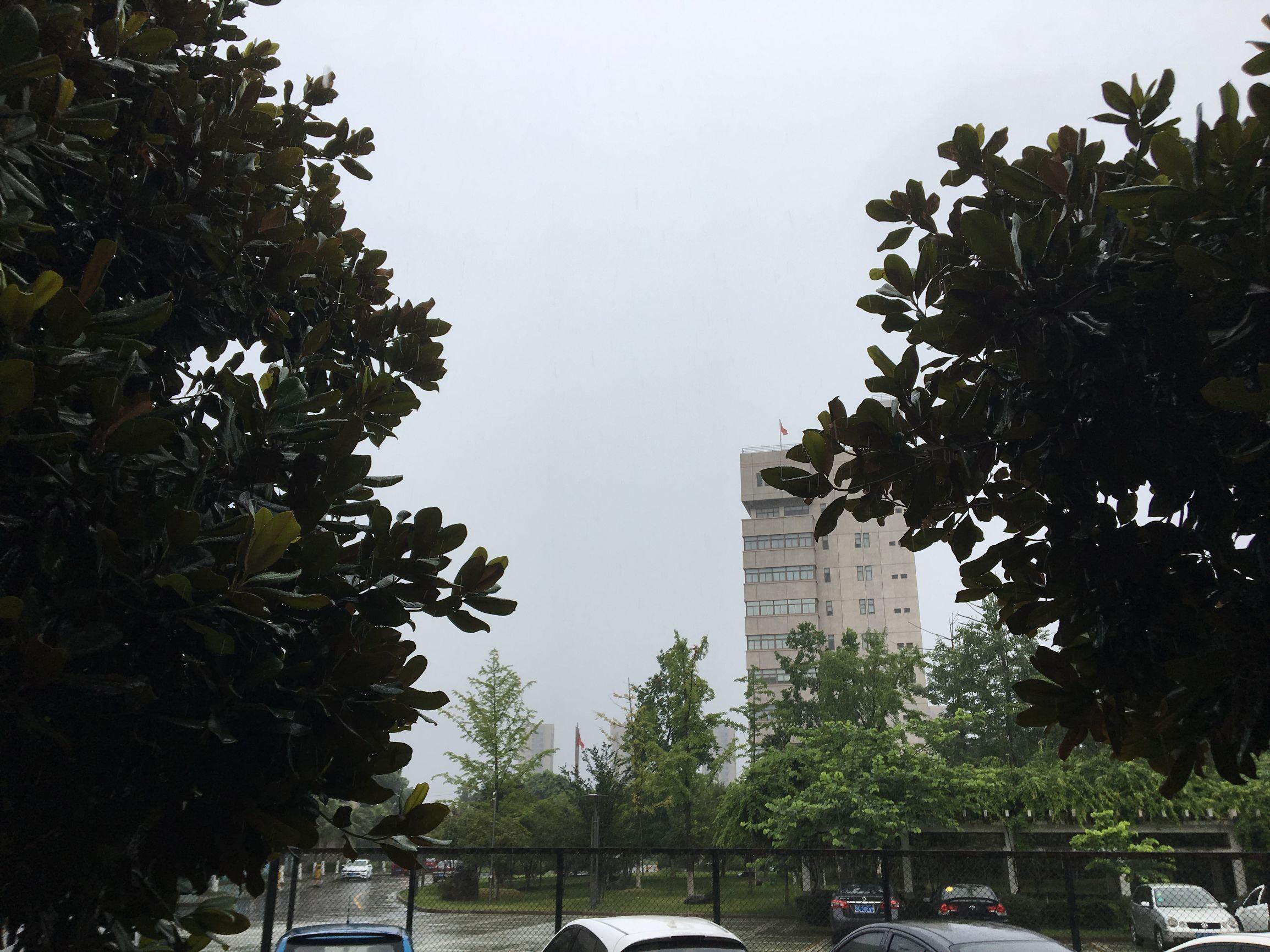 纳沙台风最新动态,全方位应对措施保障安全