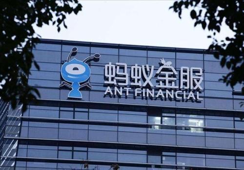 蚂蚁集团上市最新动态,市场分析展望与未来趋势