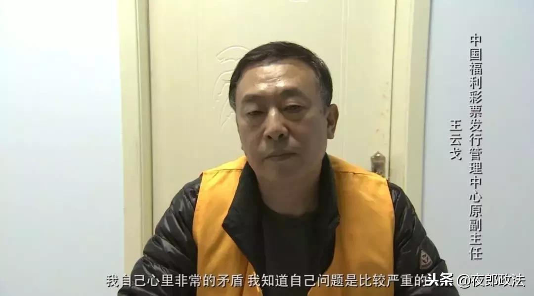 王云戈最新动态揭秘,多重身份与最新消息