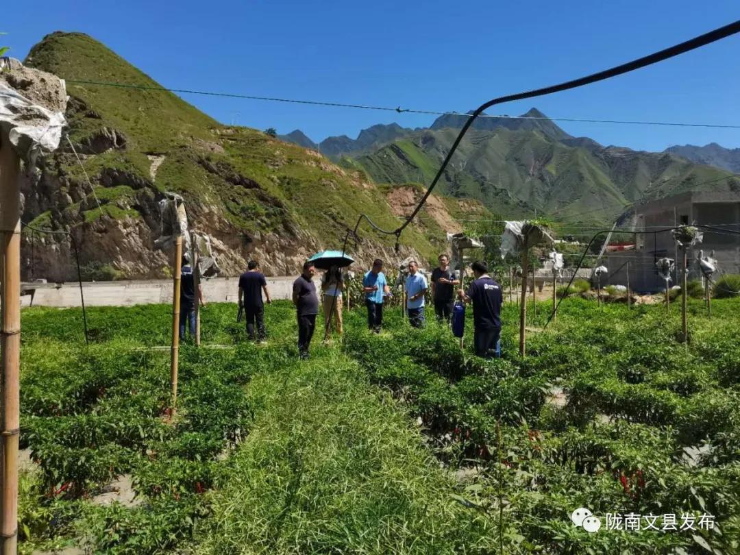甘肃陇南洪灾,灾难无情,人间有爱最新消息