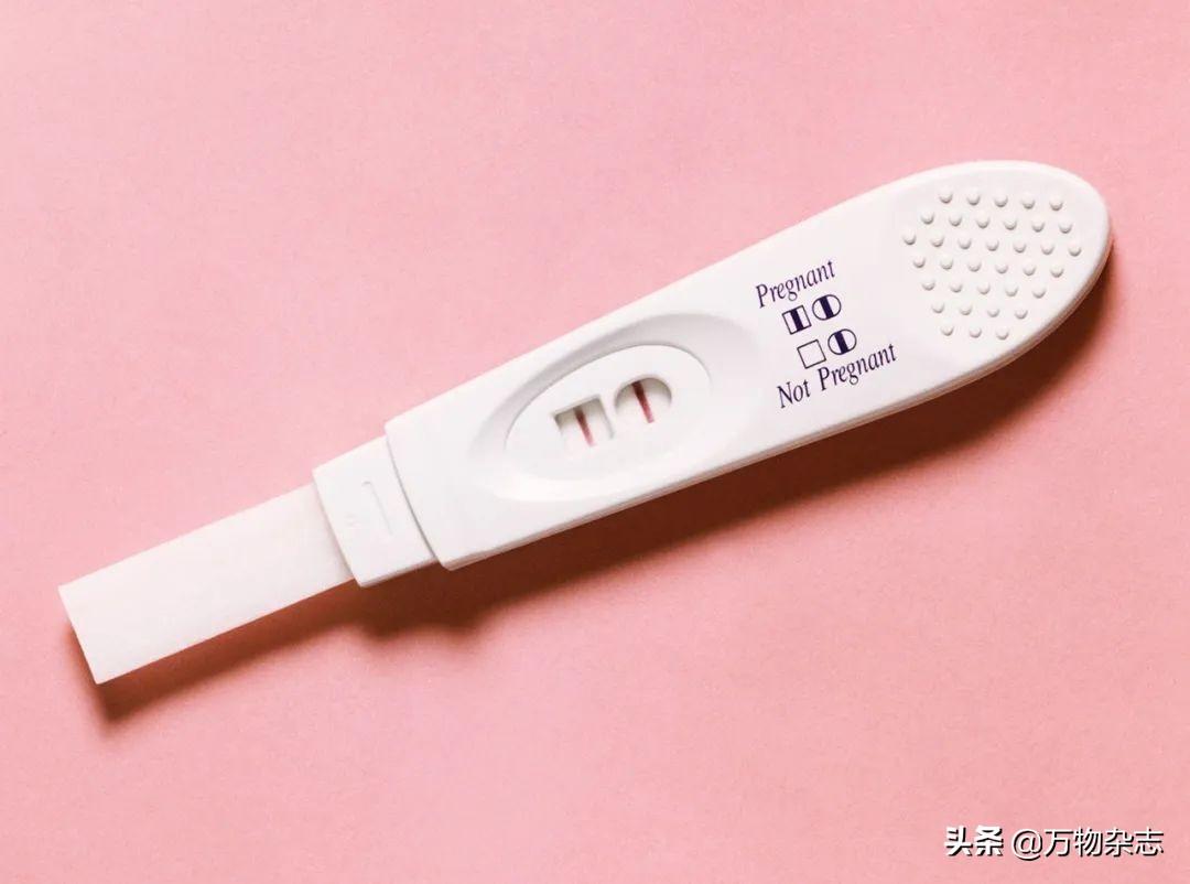 中国新冠状病毒最新动态,全面应对与积极防控的最新进展