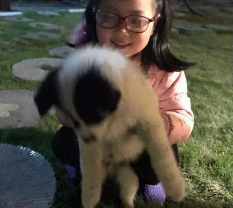 桂林象山区展现活力与进步,最新事件聚焦