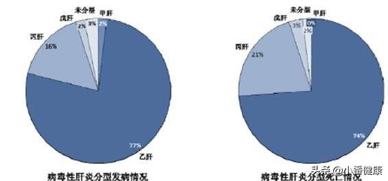 慢性乙肝治疗最新进展概览