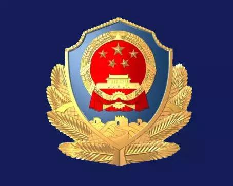 金辉集团最新消息全面解读与分析