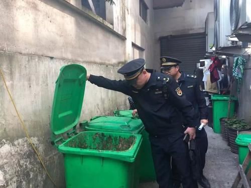 餐厨垃圾处理新动向,引领绿色革命的发展方向揭秘