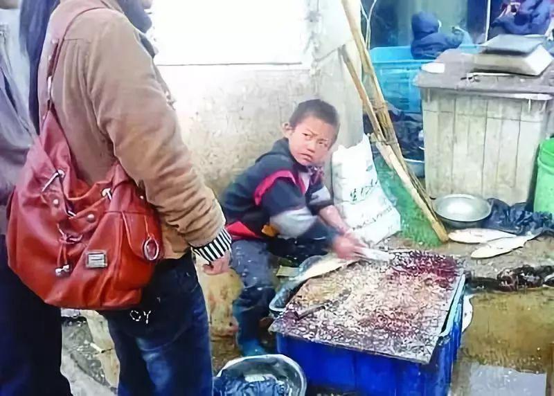 卖鱼弟最新动态,奋斗之路续写,成长故事再续新篇章