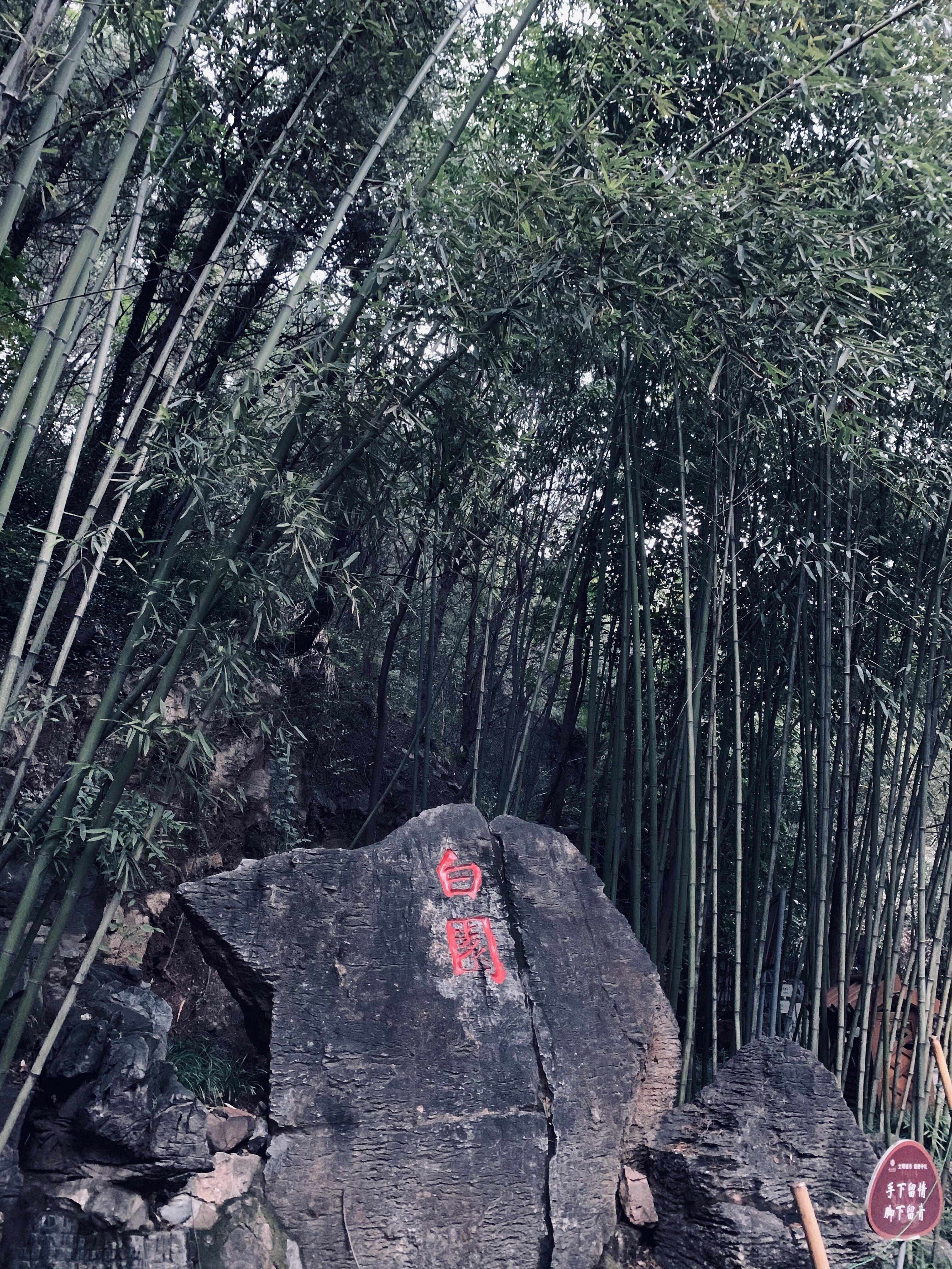 老君山夜间探秘,最新亮灯时间揭秘,夜色中的神秘魅力