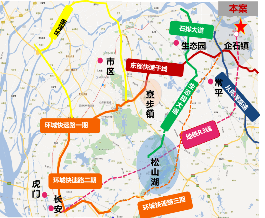 陈仕华多重身份与成就揭秘,最新消息一览