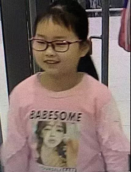 杭州女子失踪案最新进展揭秘,视频更新展现案件进展与公众关注点