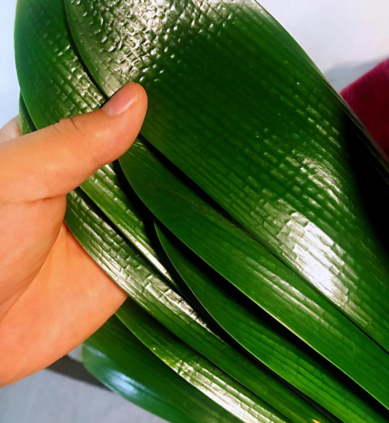 饿了么最新事件深度聚焦,探寻800背后的故事