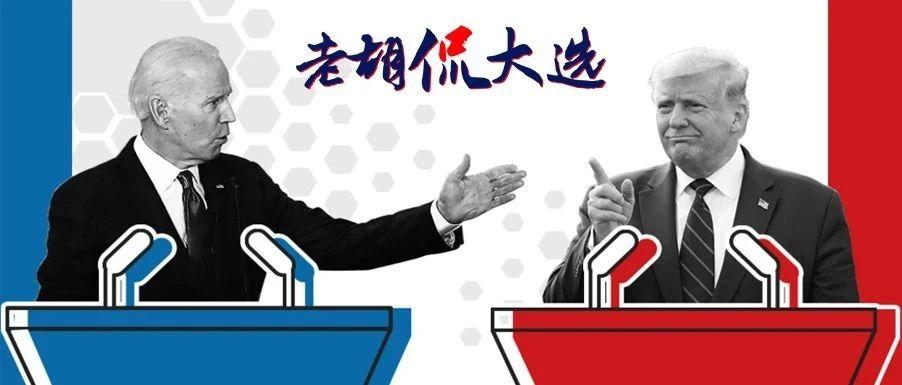 胡锡进分析美国大选最新局势,前景展望与影响评估