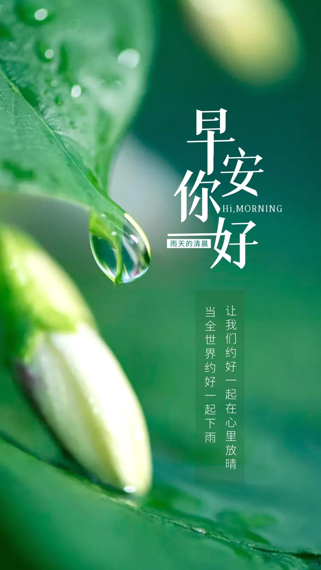 经典与最新交融,语录的魅力展现