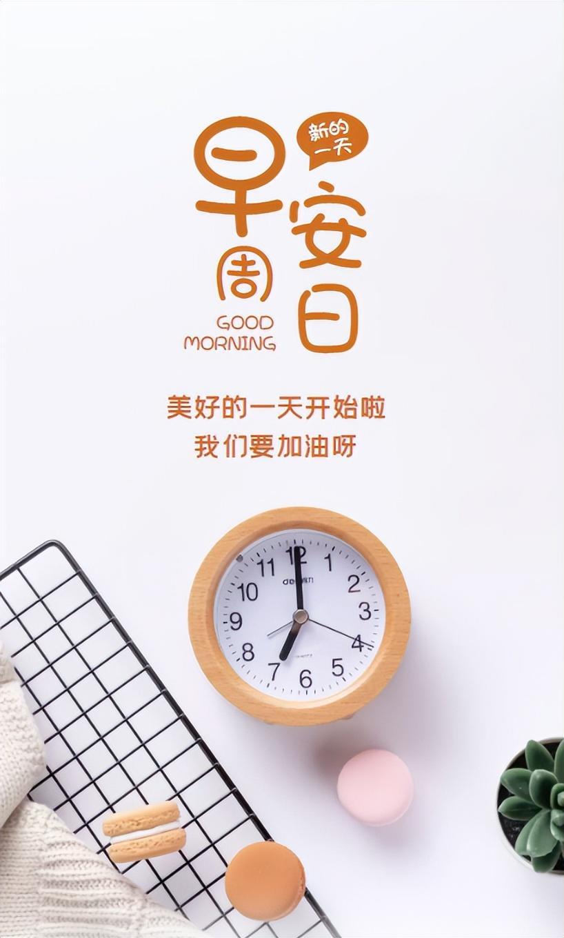 经典与最新交融,语录的魅力展现