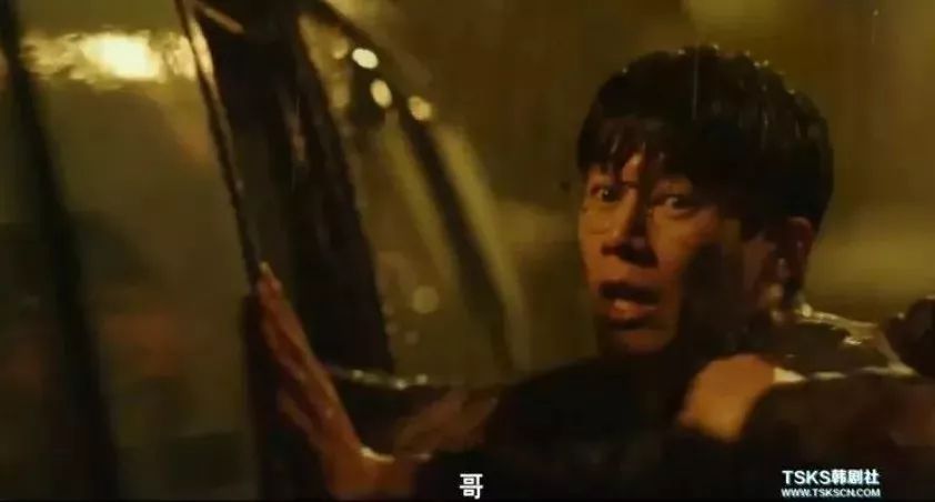 韩国最新R级电影2019在线观看,成人影视魅力与边界的探索