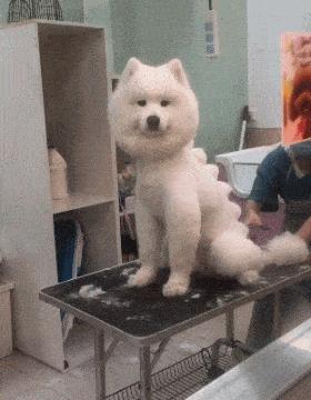 最新一期内容揭秘!