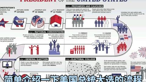 美国大选最新动态,佛罗里达州投票分析与展望